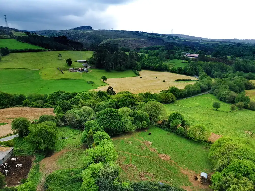 Casa o chalet en venta en Aranga con Amueblado, Horno y Lavadora