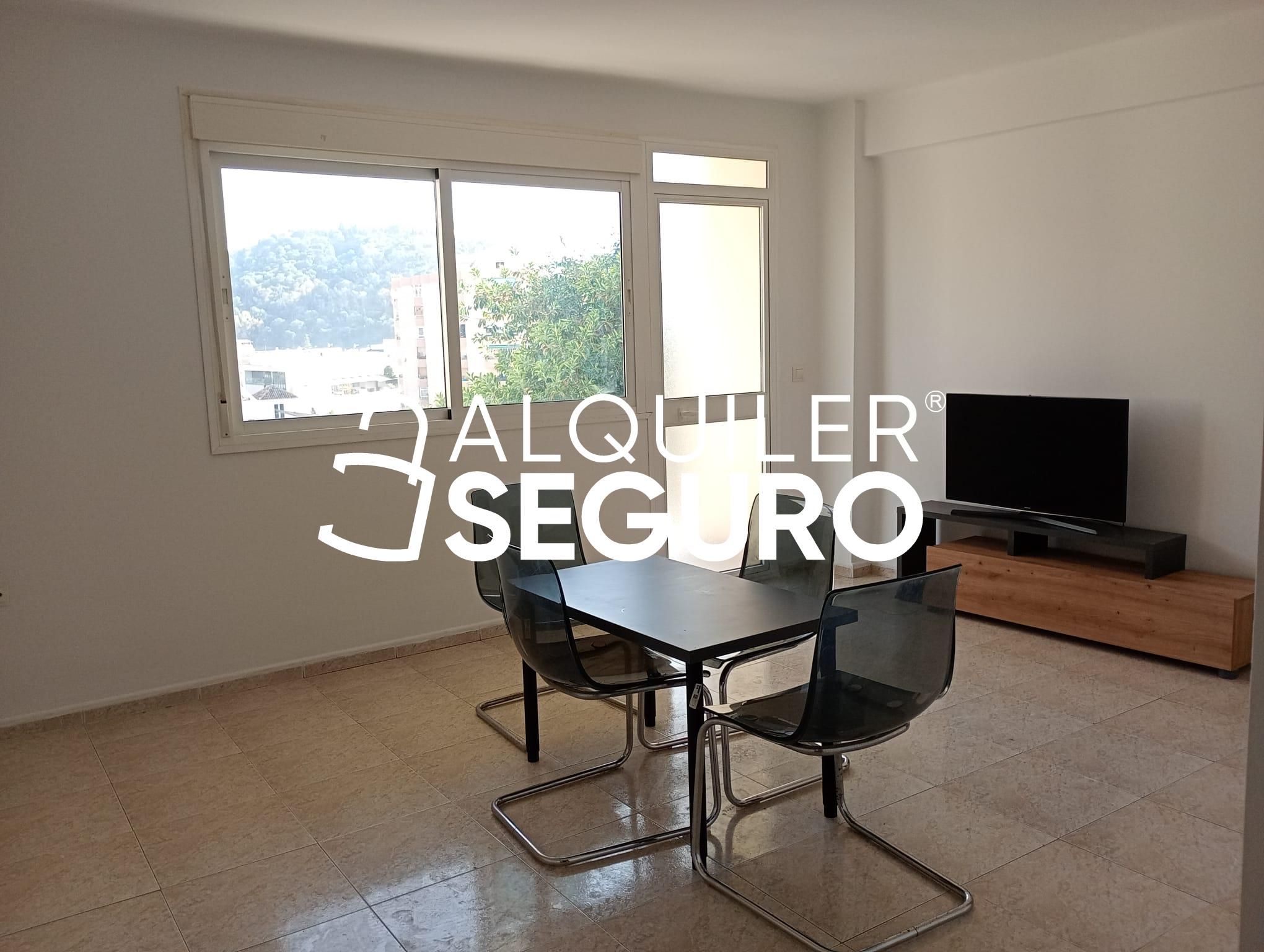 Flat to rent in Málaga Capital  with Terrace