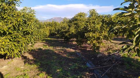 Foto 5 de Terreno en venta en N/a, -1, Maro - Cuevas de Nerja, Nerja