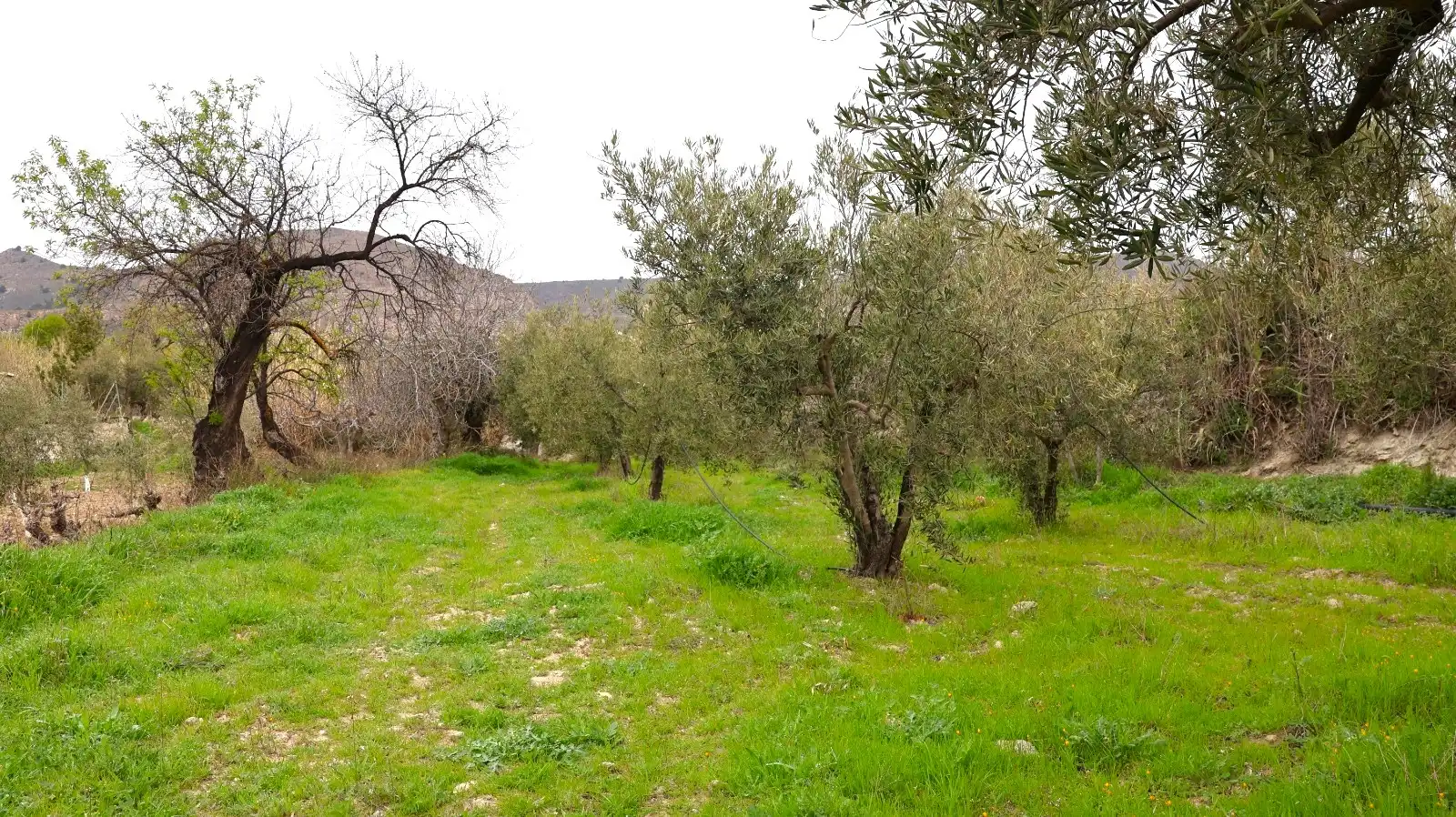 House for sale in Oria, imagen 40