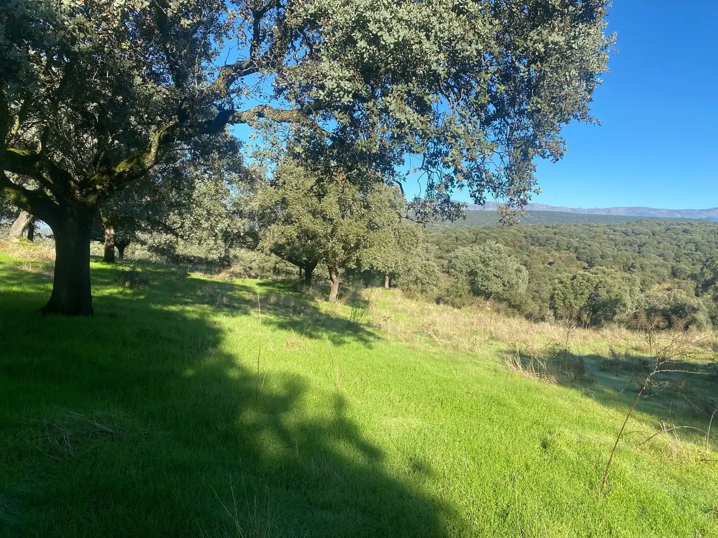 Country house zum Verkauf in El Real de San Vicente mit Klimaanlage, Heizung und Privatgarten