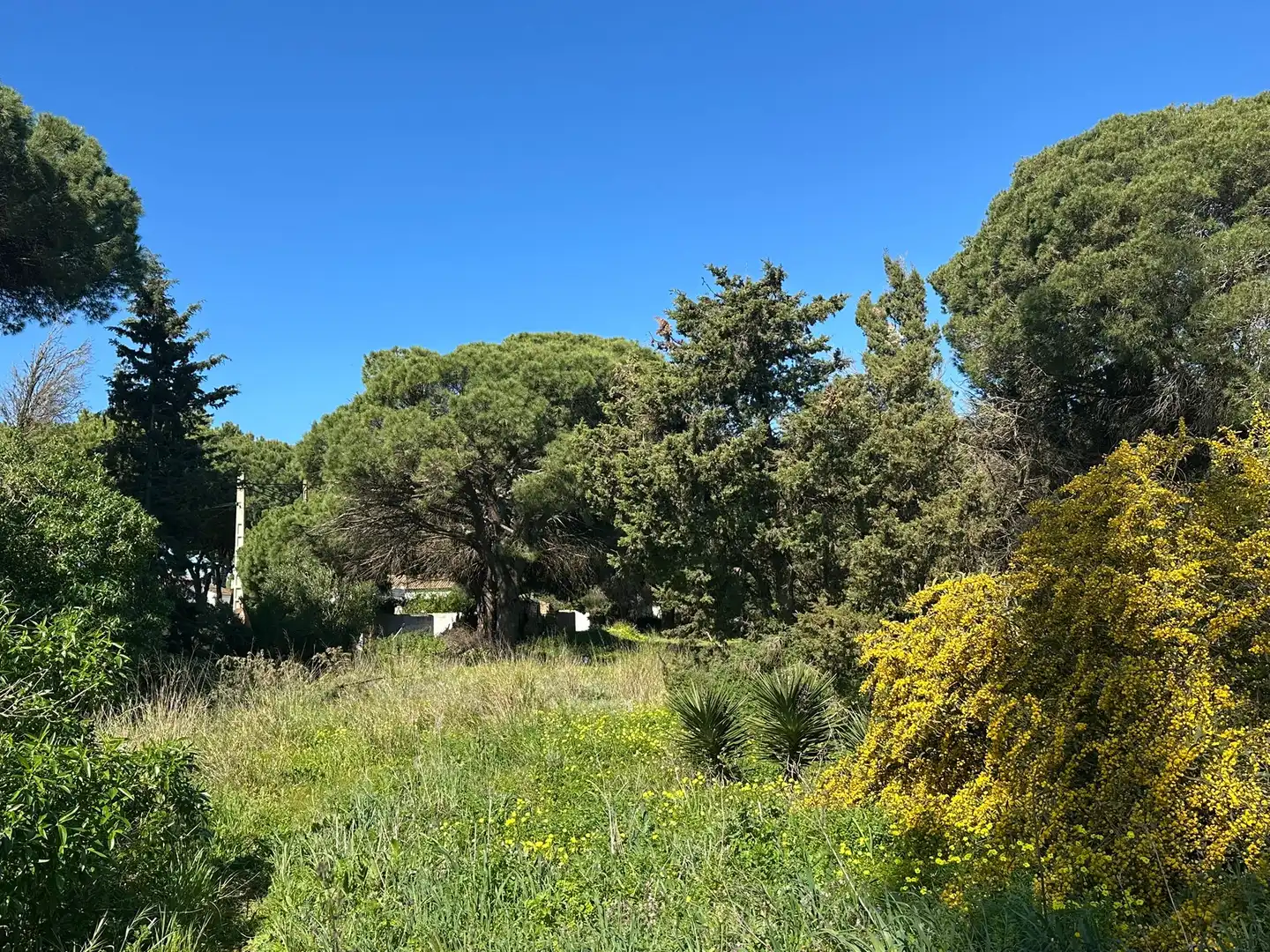 Rustikales Grundstück zum Verkauf in Las Lagunas - Campano, imagen 4