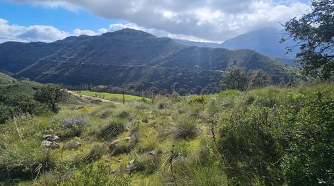 Foto 4 de Residencial en venta en Urbanizacion Urbanización Antequera Golf Parcela 1, Bobadilla - Bobadilla Estación - La Joya, Antequera