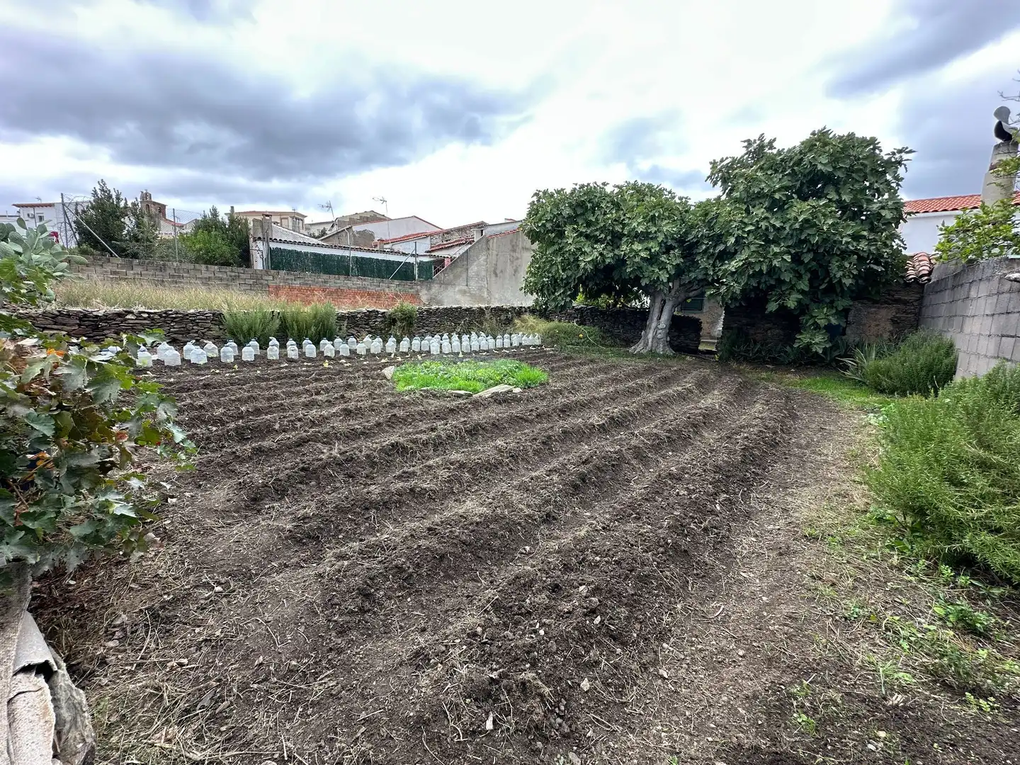 Haus mit Garten zum Verkauf in Malpartida de Plasencia, imagen 2