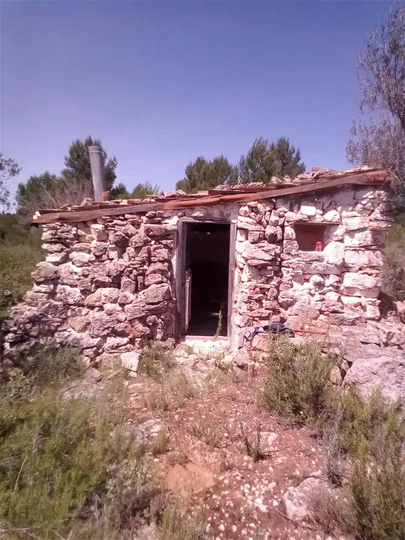 Exterior view of Land for sale in Valencia
