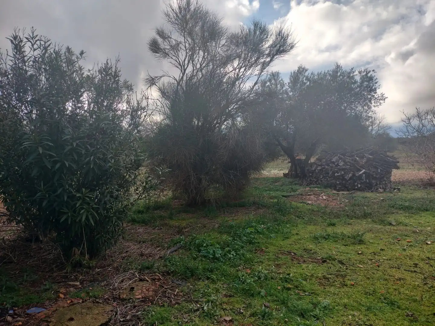 Finca rústica en venta en Argamasilla de Calatrava
