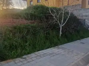 Residential land for sale in Avinguda del Jo 16, imagen 6
