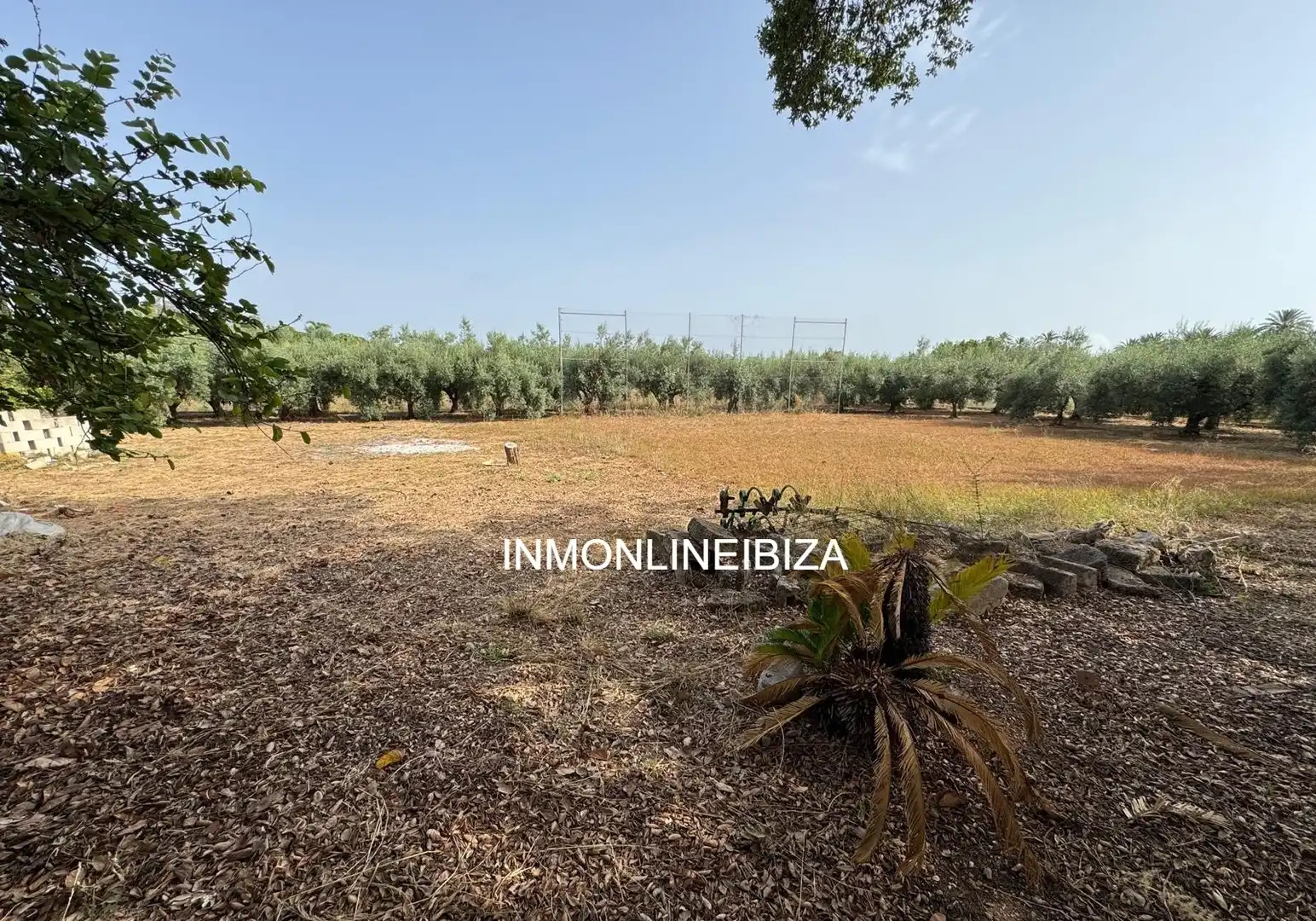 Villa avec jardin à vendre à N/A, imagen 12