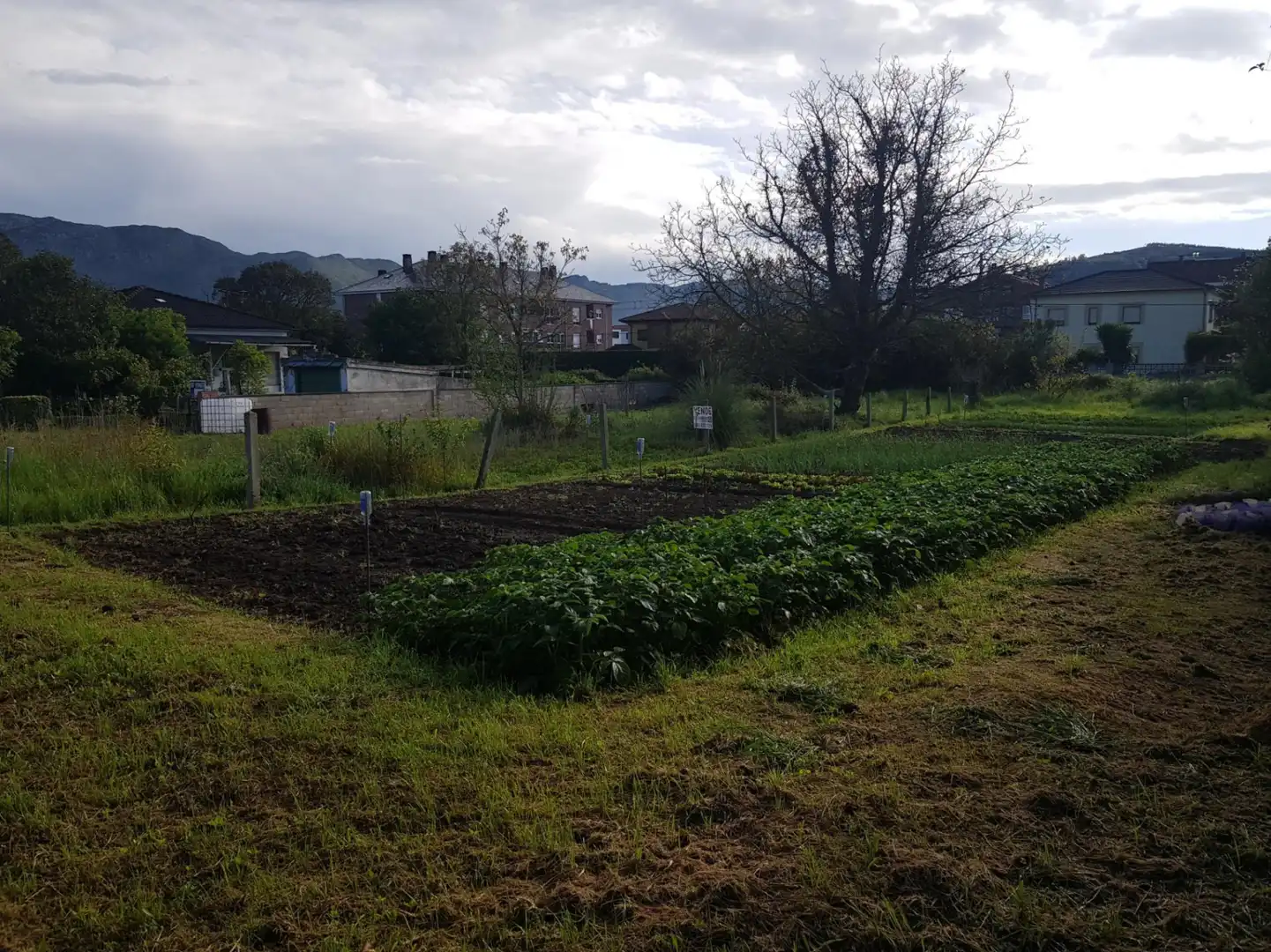 Terreny rústic en venda a Los Corrales de Buelna - FELISA CAMPUZANO