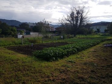 Rural land for sale in Los Corrales de Buelna - FELISA CAMPUZANO