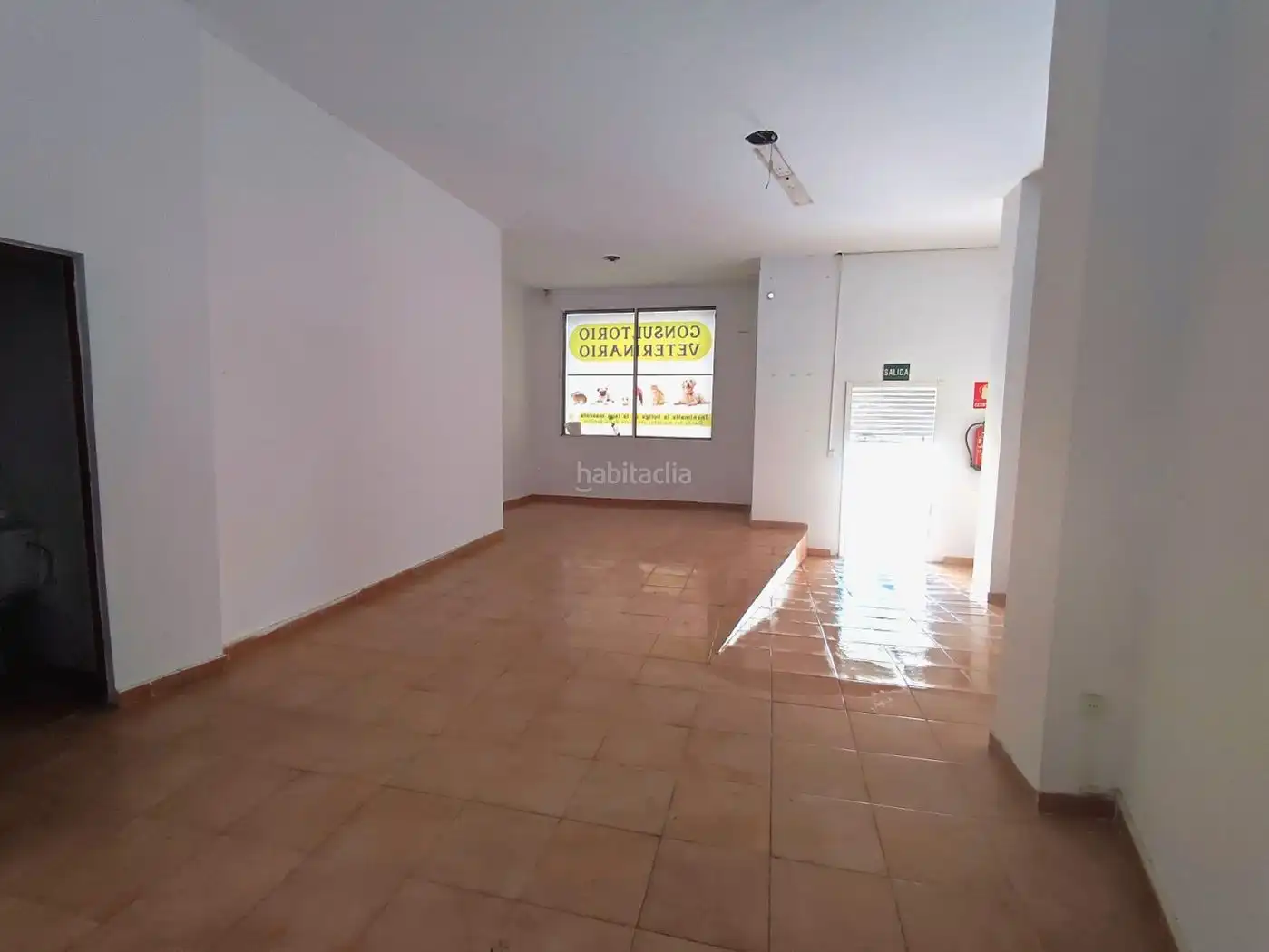 Gewerbefläche zur Miete in Avinguda del Camí Nou 27, imagen 13