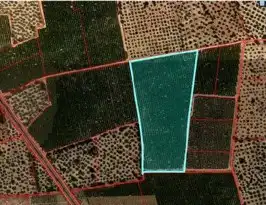 Terreny rústic en venda a Santa Bàrbara, imagen 19