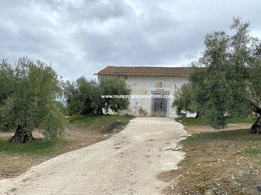 Terreno residenziale in vendita a Jauja