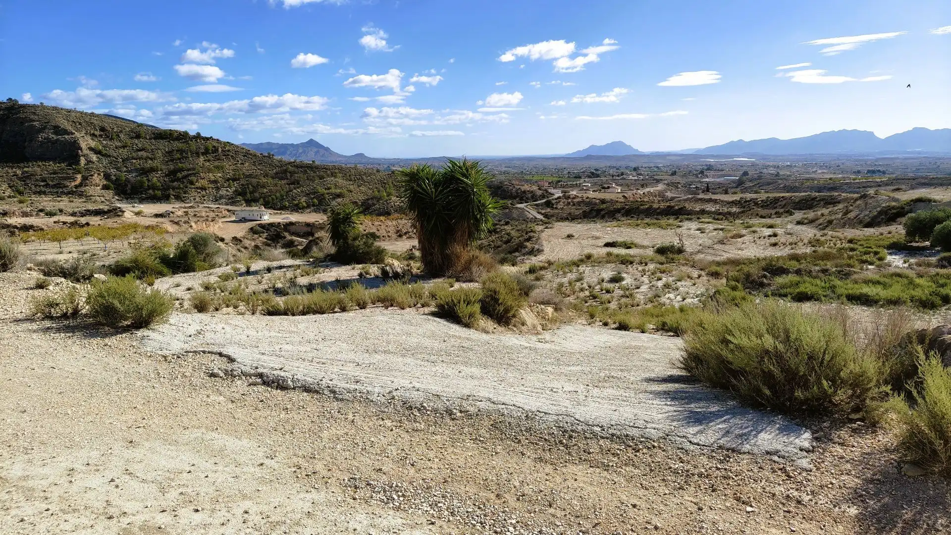 Rural land for sale in Fortuna, imagen 3