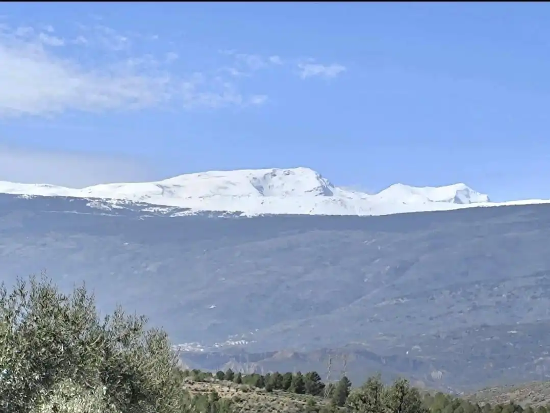 Vista exterior de Casa o chalet en venta en Alcolea con Terraza, Trastero y Amueblado