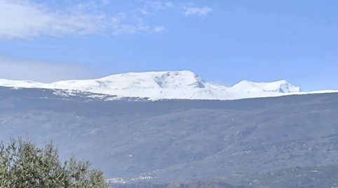 Foto 3 de Casa o xalet en venda a Carretera, 21, Alcolea, Almería