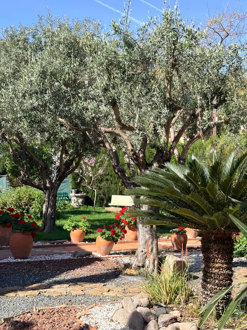 Chalet con piscina en venta en El Puig, imagen 24