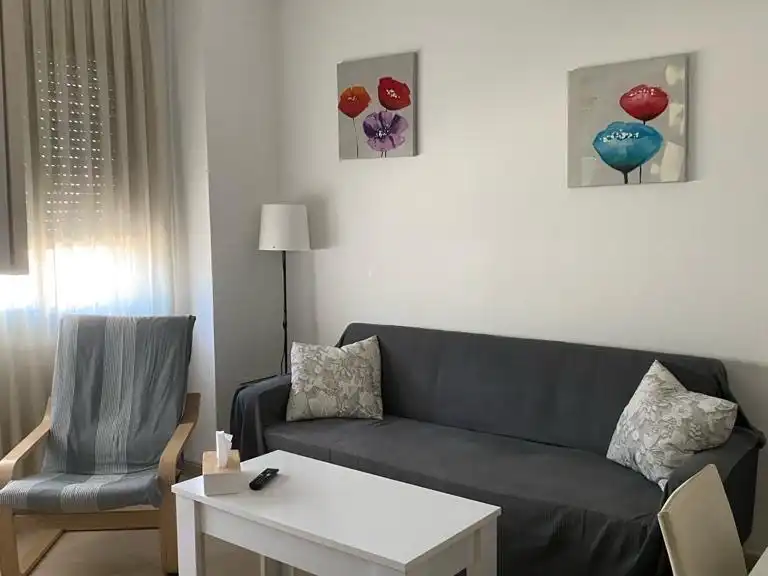 Apartment mit Aufzug zum Verkauf in Avinguda de les Goles de l'Ebre 190, imagen 2