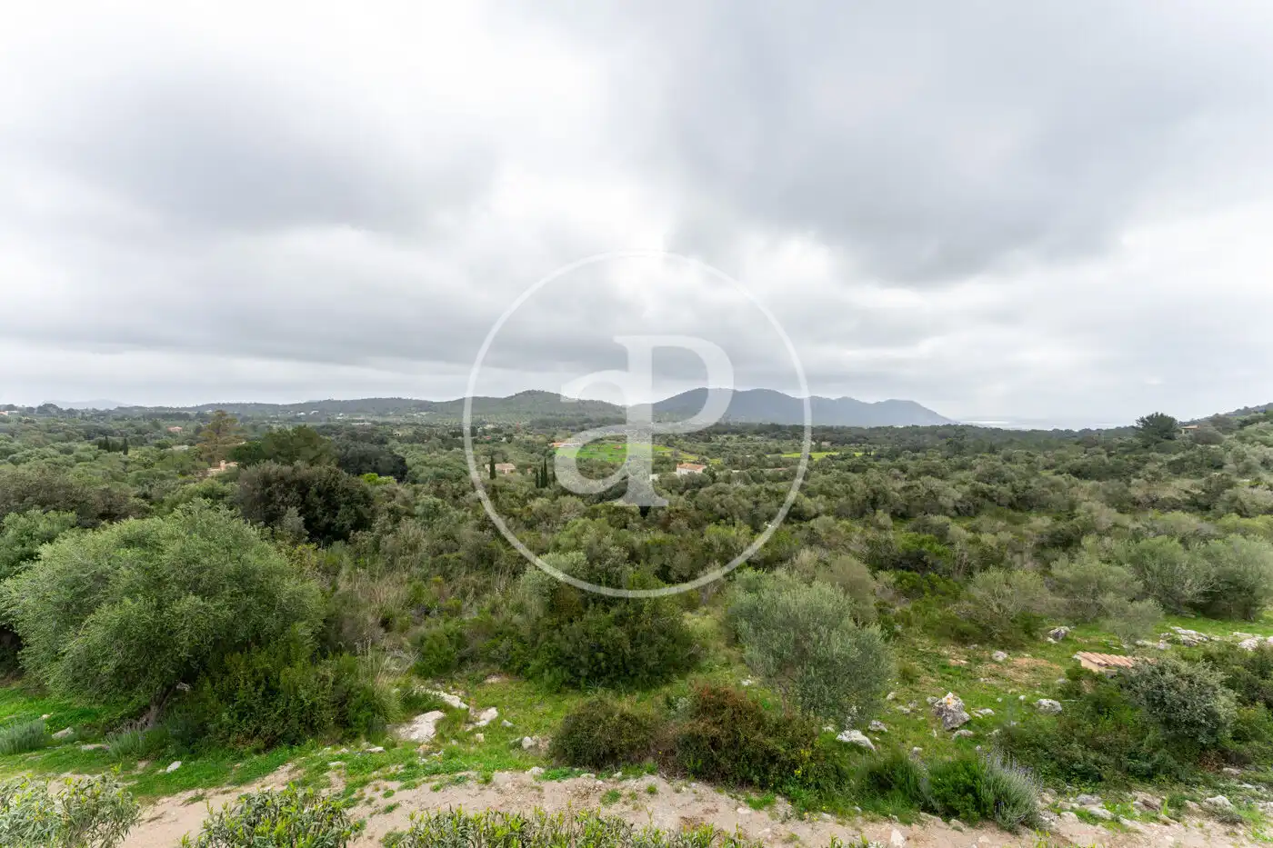 Houses for sale in Cort
