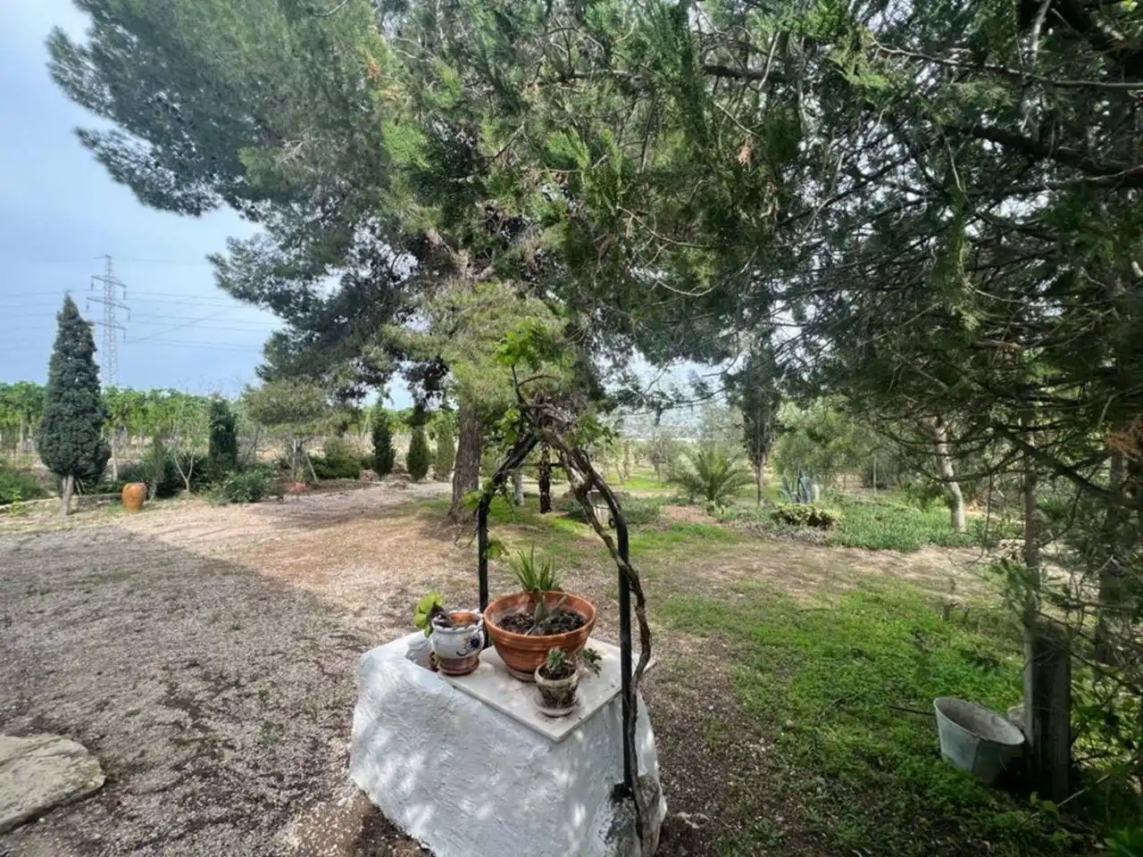 Terreno rústico en venta en Monforte del Cid, imagen 73
