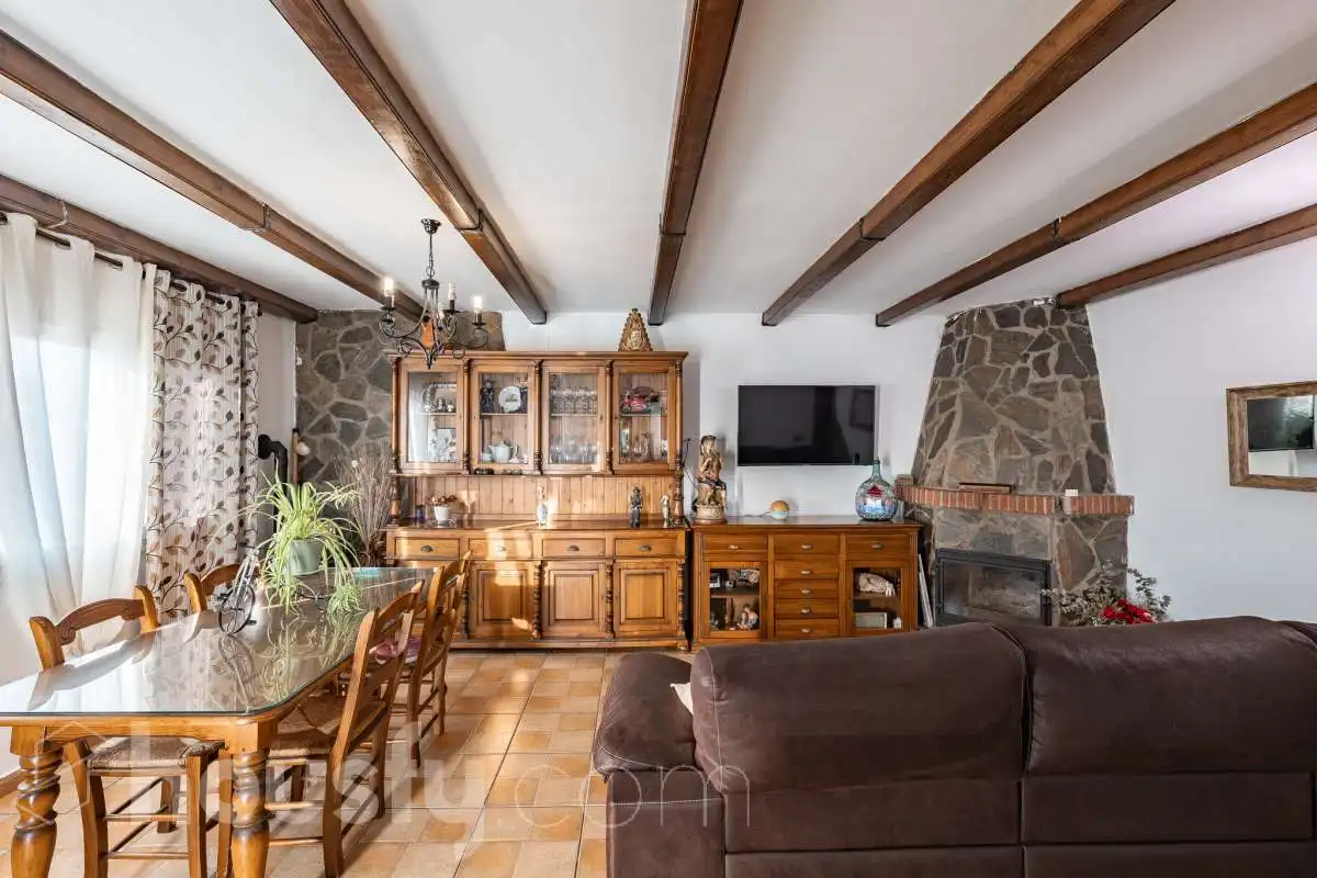Sala d'estar de Casa o xalet en venda en Abrera, Barcelona