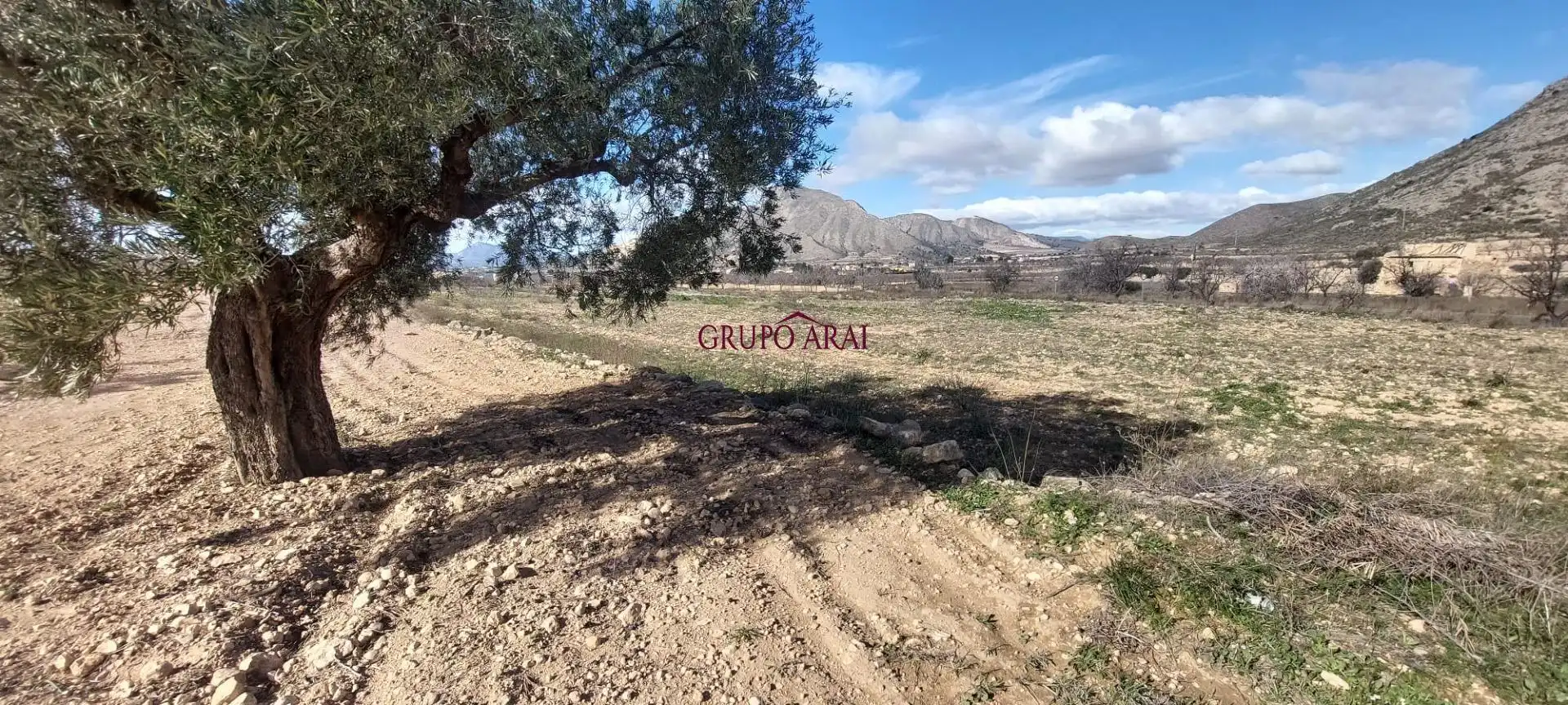 Terreno rustico in vendita a Calle Hondón de los Frailes 2, imagen 5