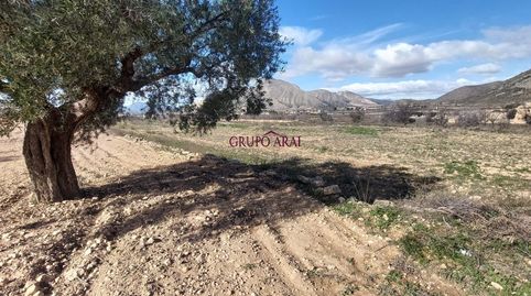 Vive el campo cerca del pueblo finca rústica con opción de construcción, imatge 5