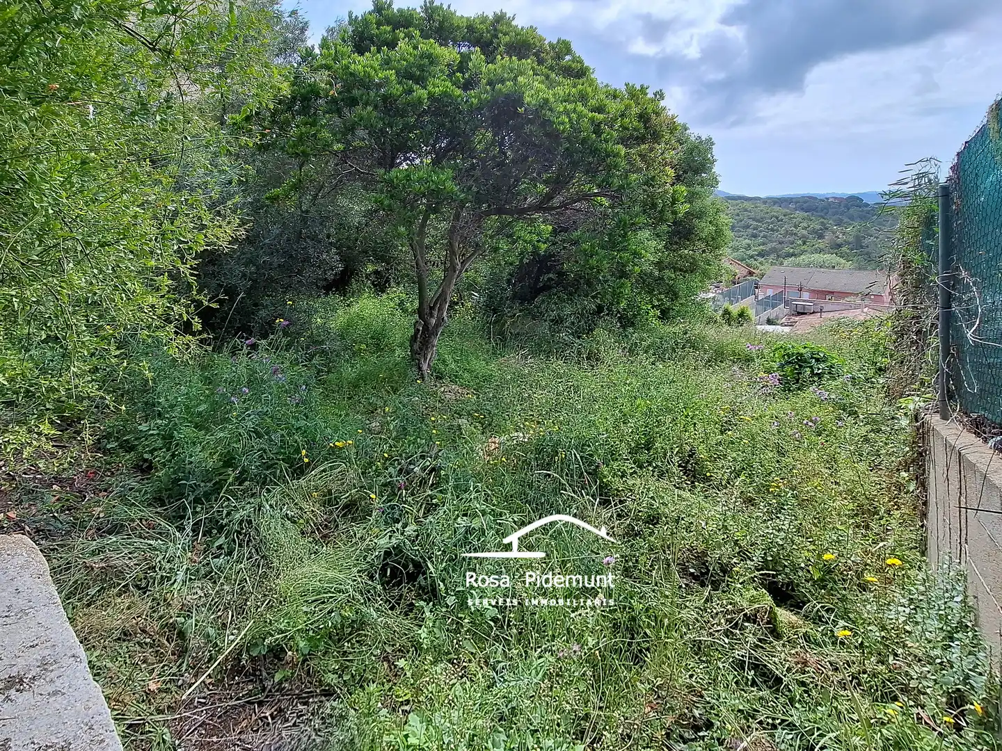 Terreno residencial en venta en Carrer de l'Orquídea, imagen 2