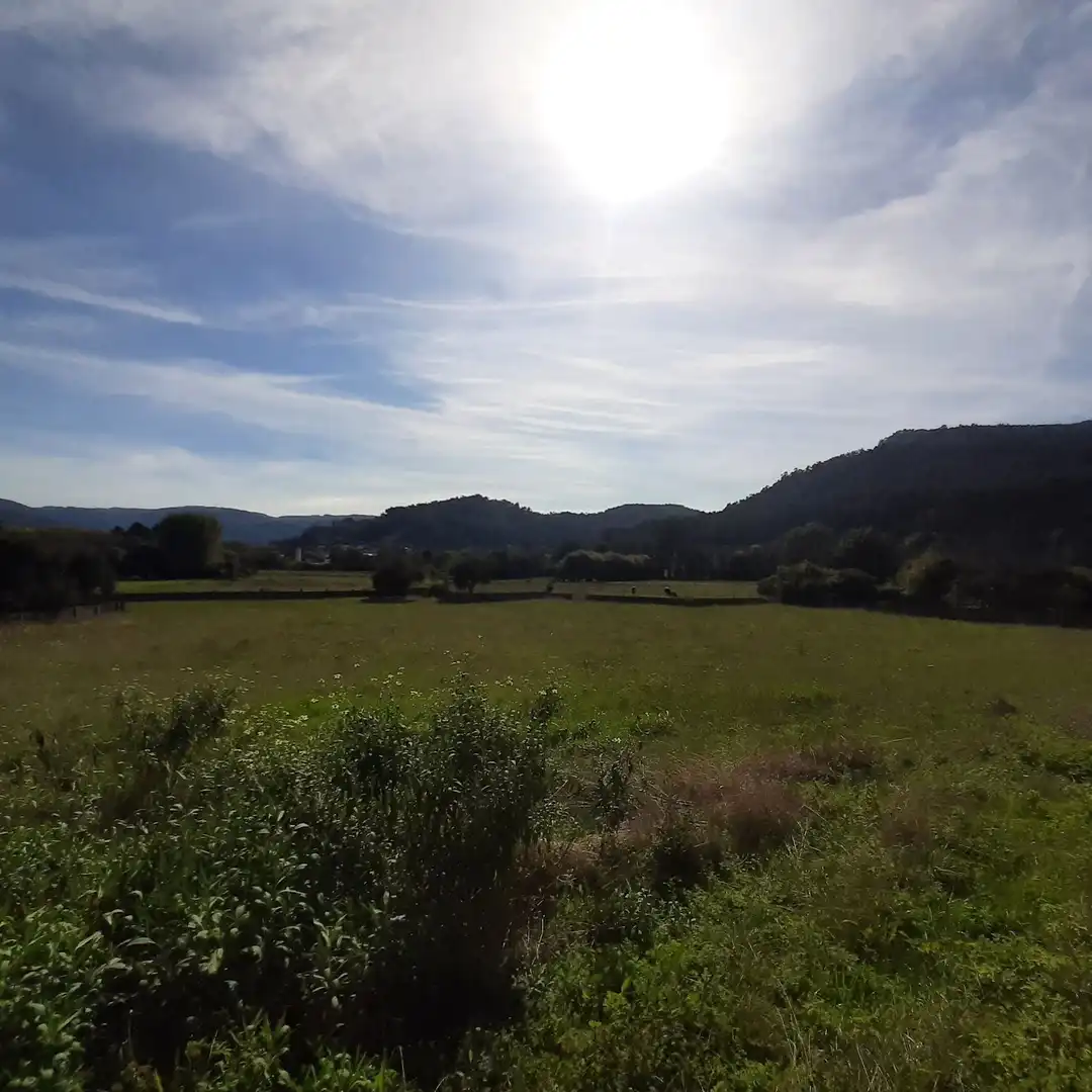 Casa rústica amb jardí en venda a CP-6602 2, imagen 28
