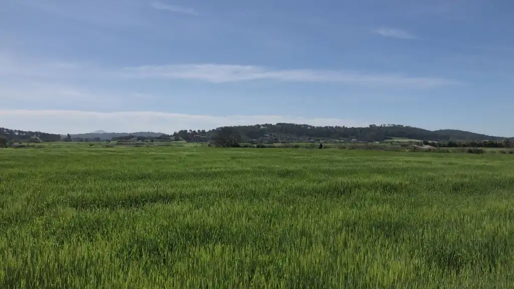 Land for sale in Sant Joan