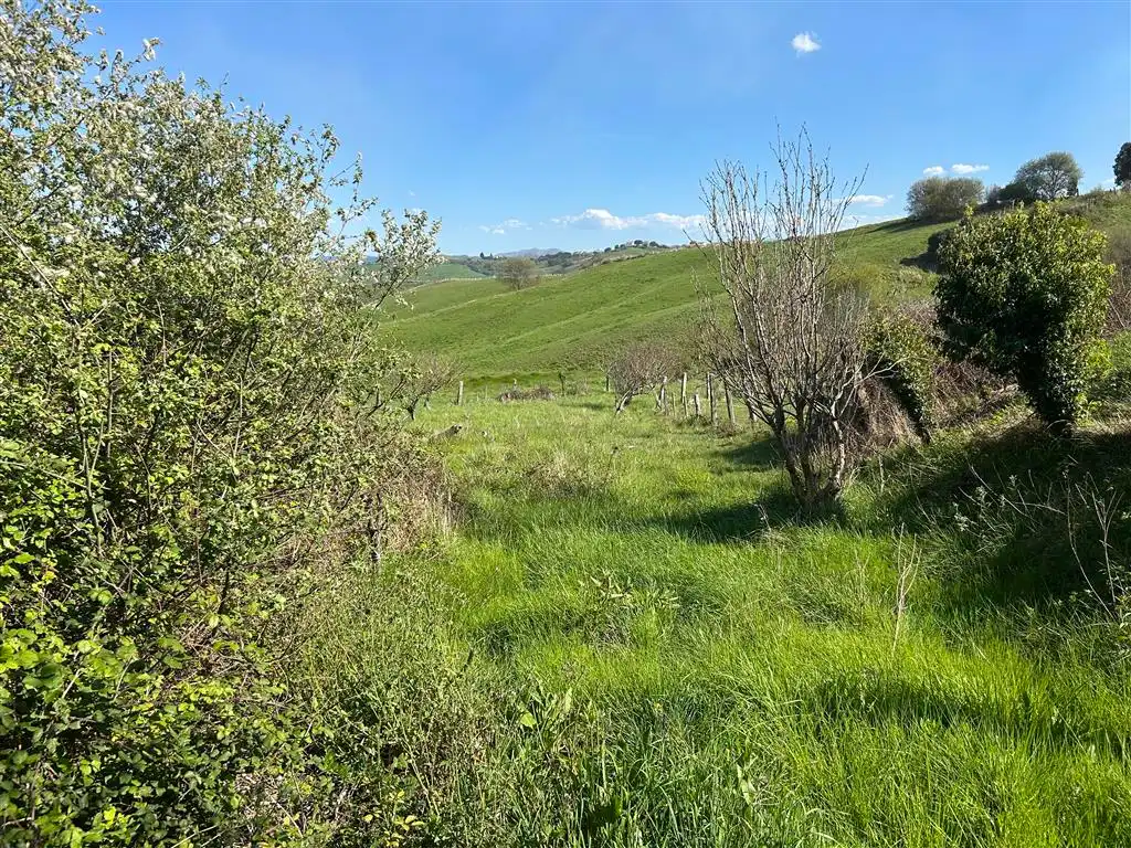 Land for sale in San Vicente de la Barquera