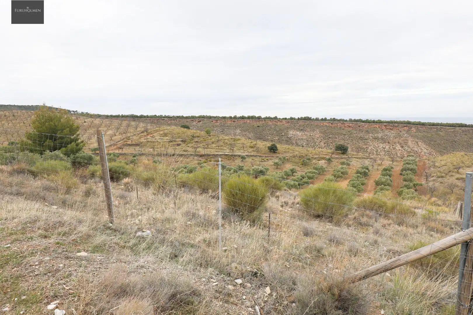 Terreno rustico in vendita a EXTRARRADIO, imagen 16