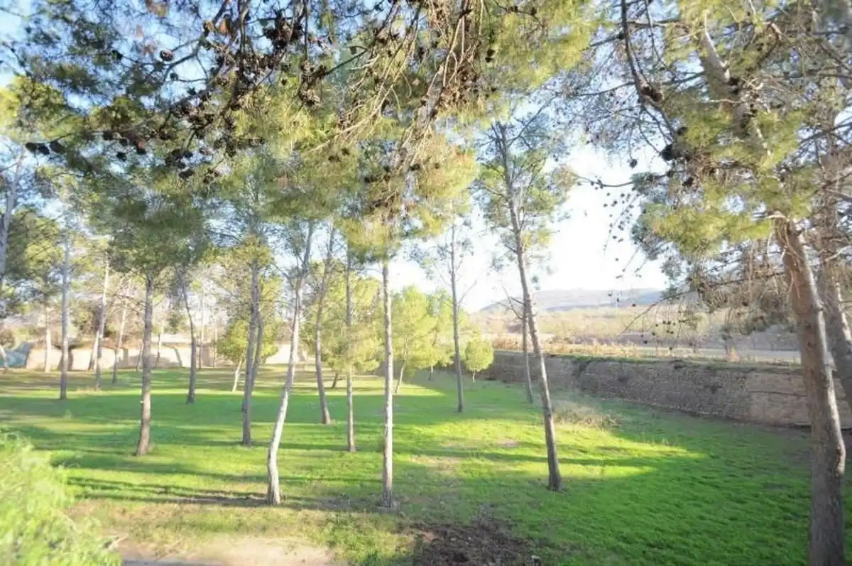 Detached house for sale in Monóvar  / Monòver, imagen 29