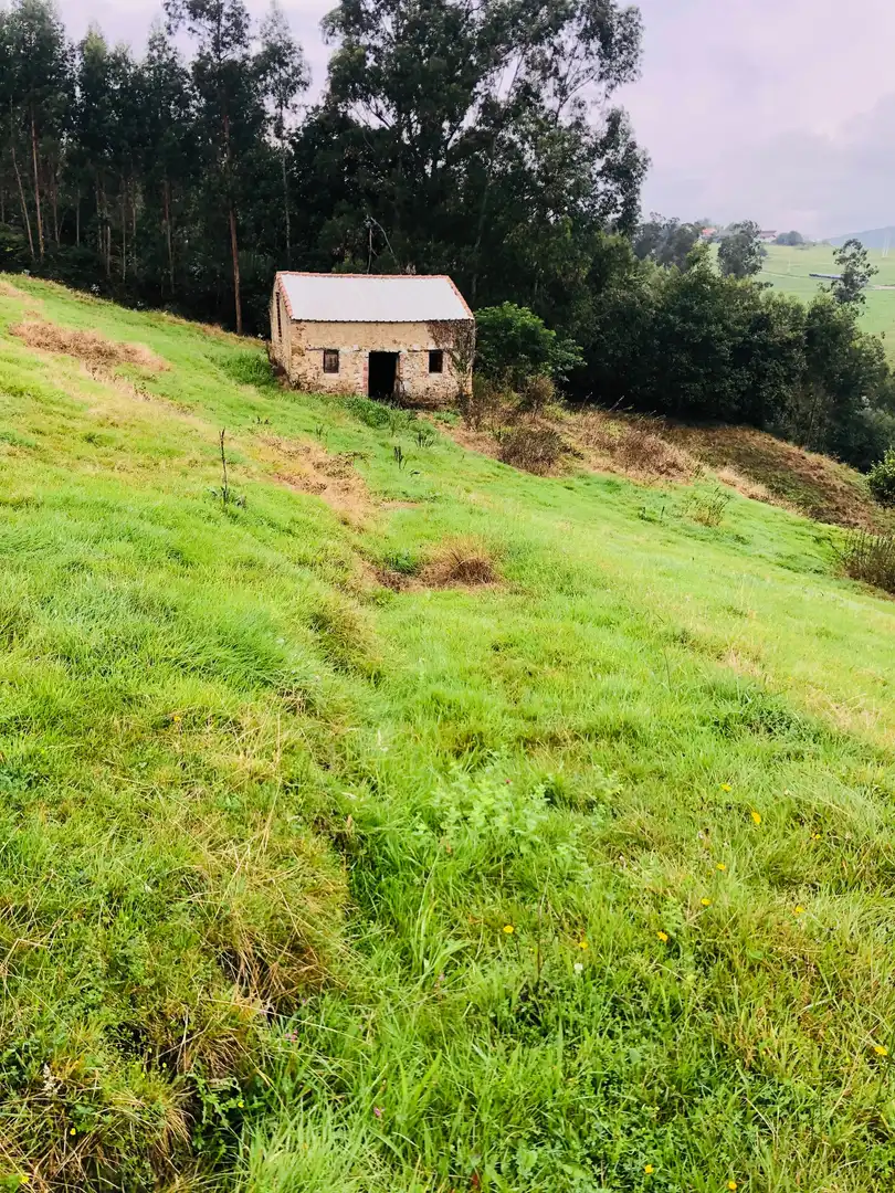 Casa o chalet en venta en Piélagos