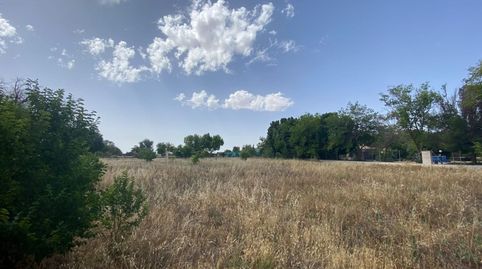 Finca Rúst. en venta en Membrilla., imatge 4
