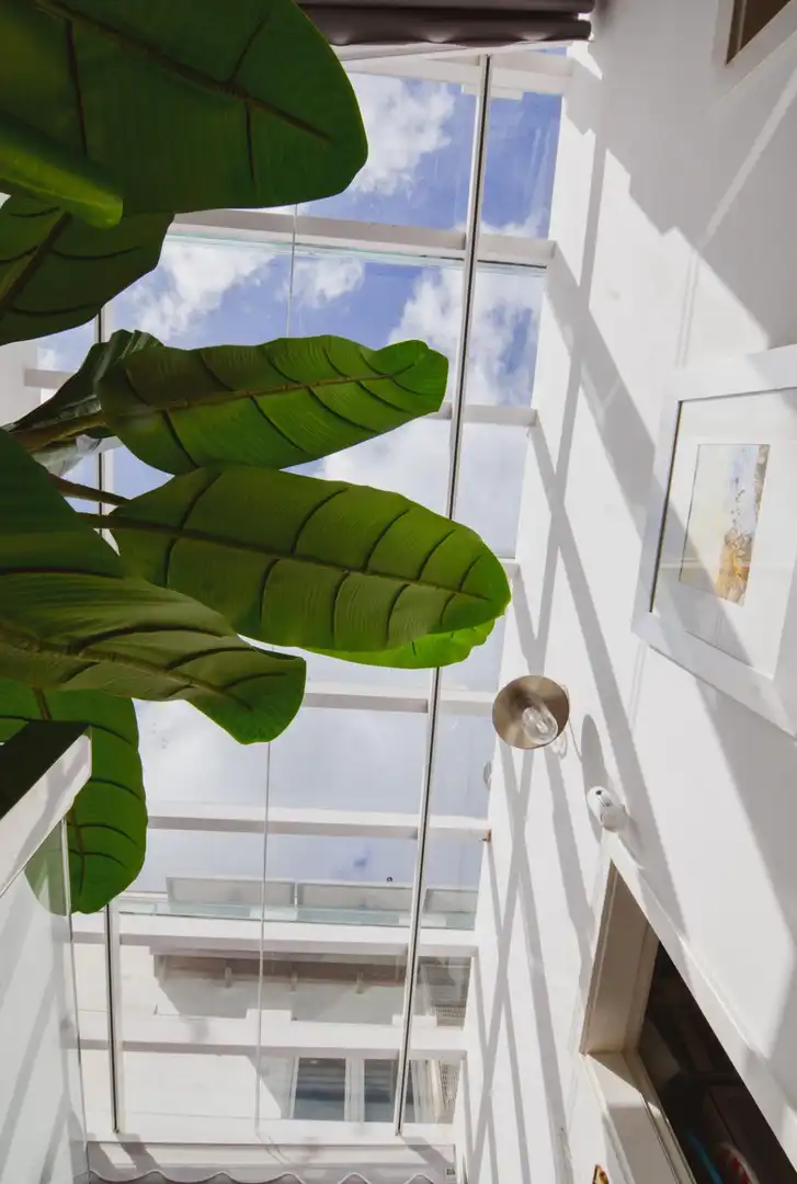 Jardín de Casa o chalet en venta en Las Palmas de Gran Canaria con Aire acondicionado, Terraza y Amueblado