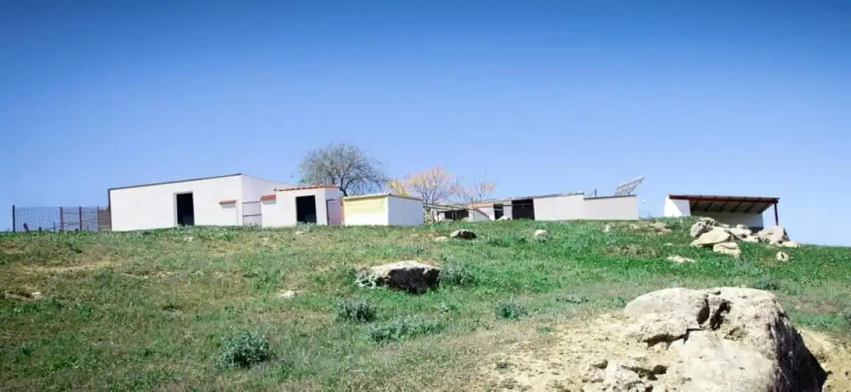 Landhaus zum Verkauf in Peñarroya-Pueblonuevo, imagen 8