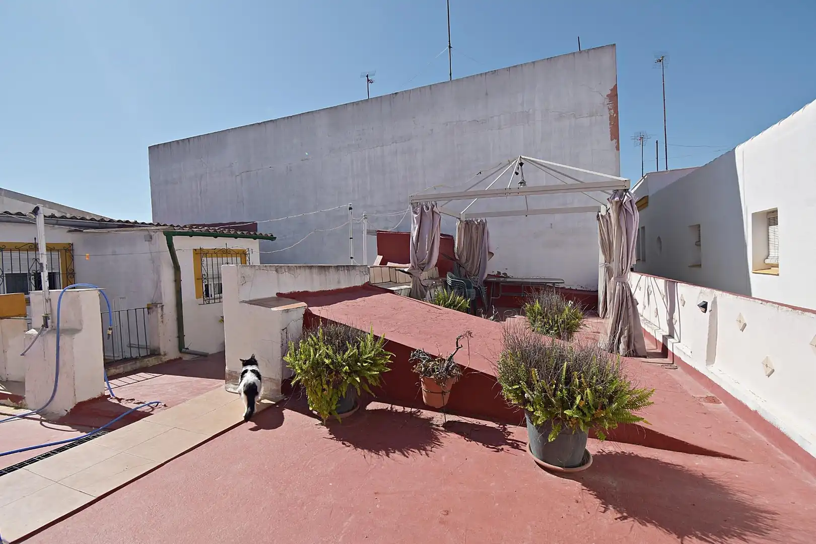 Exterior view of Houses for sale in Jerez de la Frontera