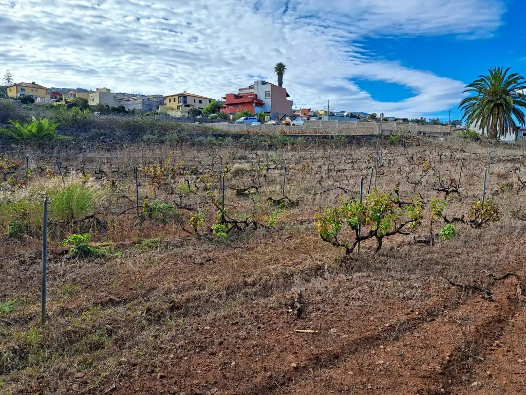 Rural land for sale in El Sauzal, imagen 6