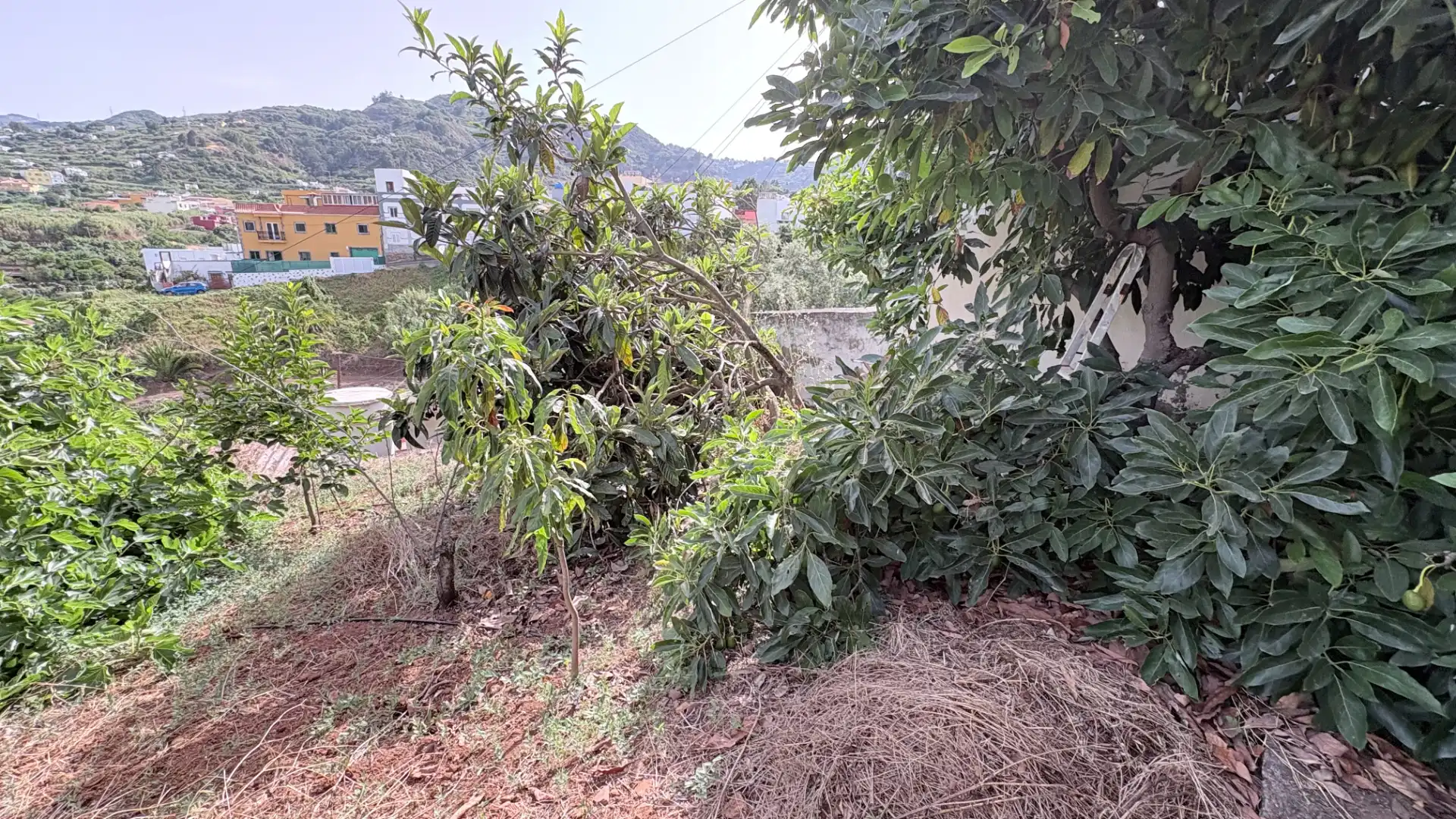 Maison mitoyenne avec jardin à vendre à Teror pueblo, imagen 7