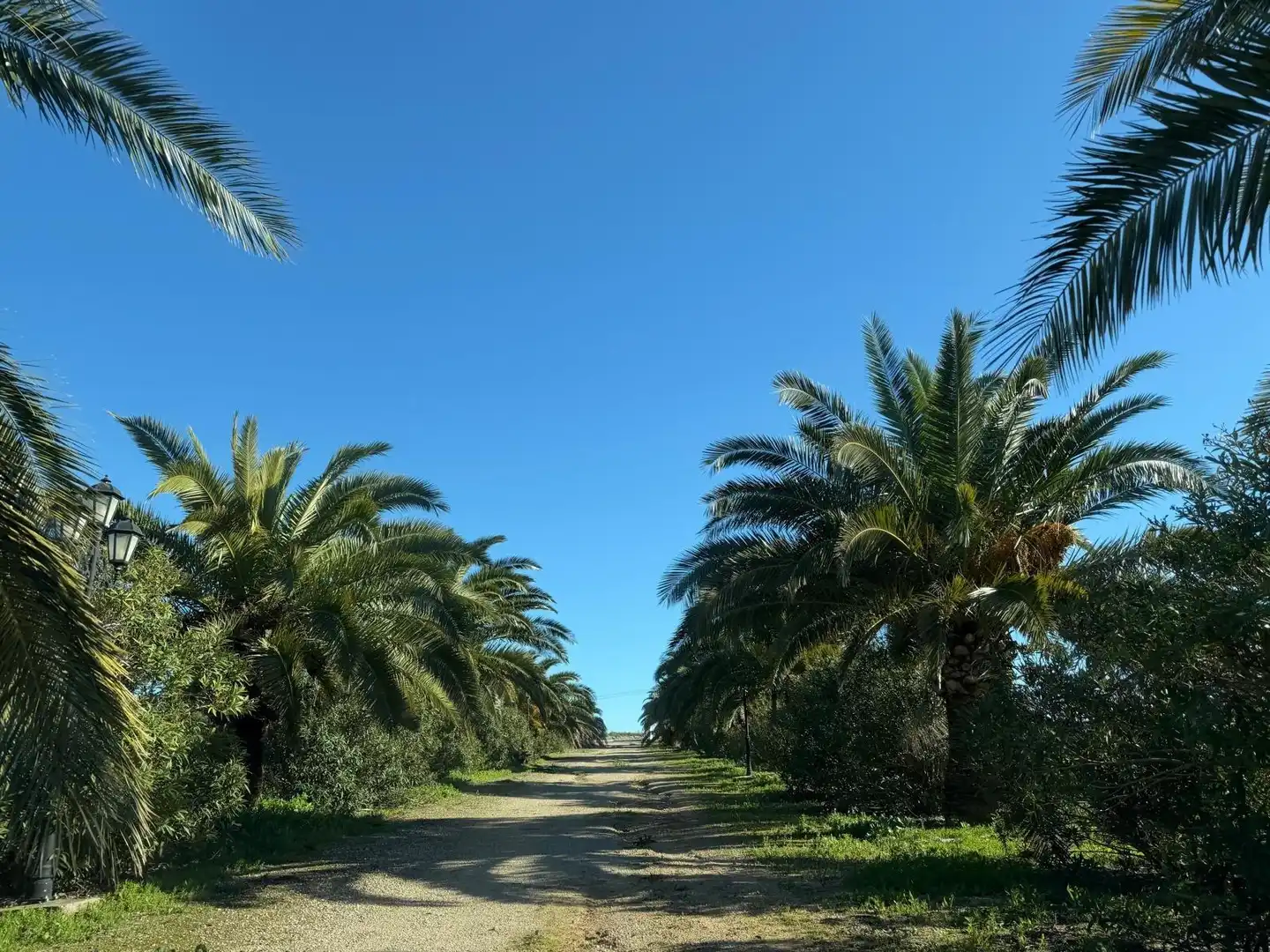 Country homes for sale in Arcos de la Frontera