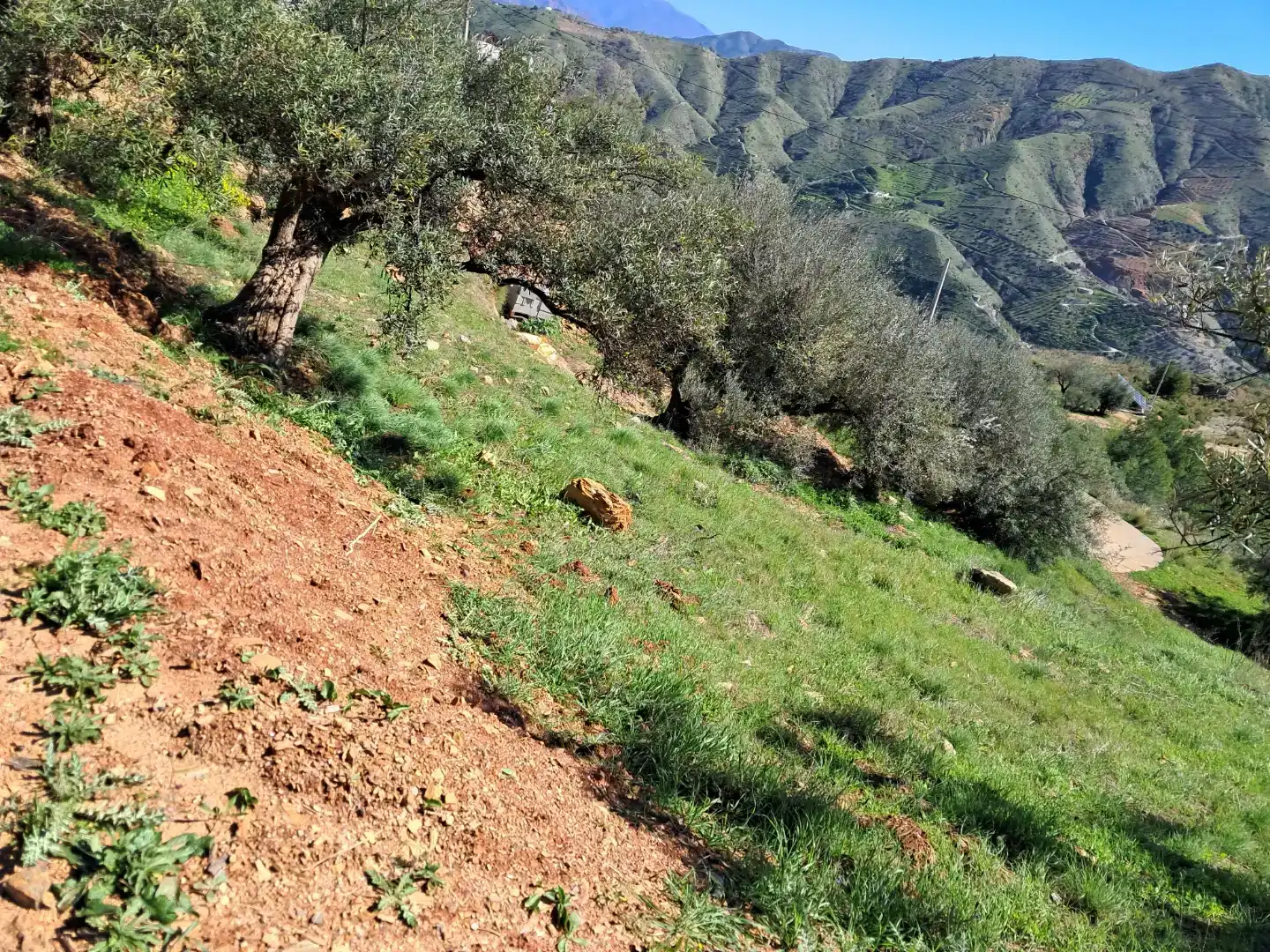 Finca rústica en venda en Almuñécar amb Traster, Moblat i Forn