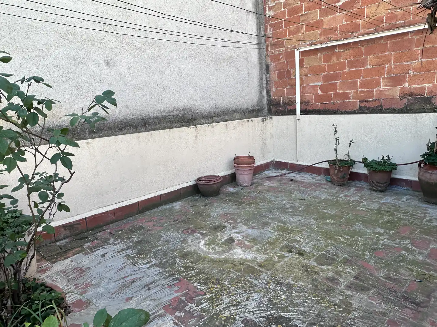 Casa o xalet en venda a Carrer de Sèneca, Serra d'en Camaró