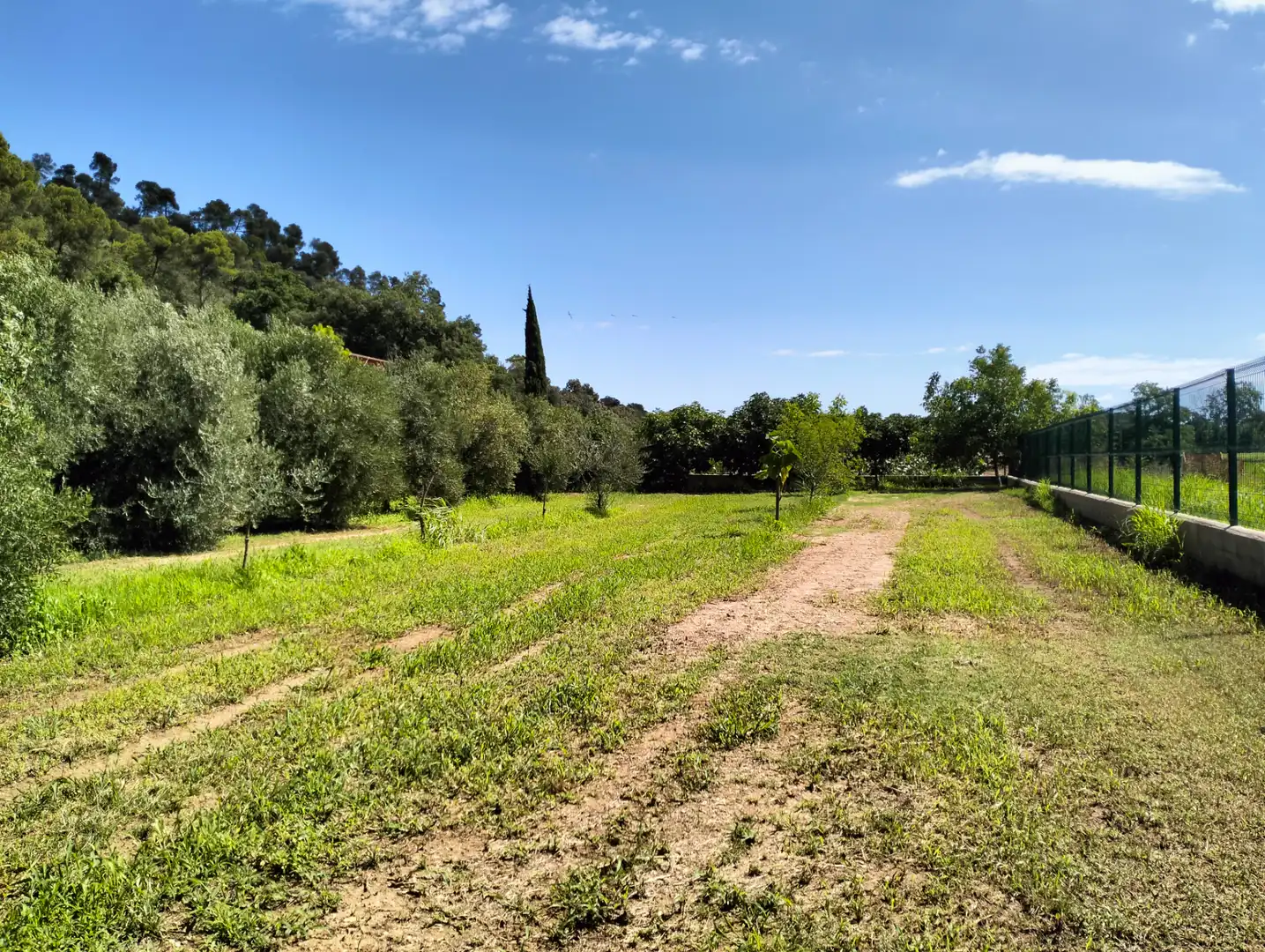 Casa o xalet en venda en Cervià de Ter amb Jardí privat, Terrassa i Balcó