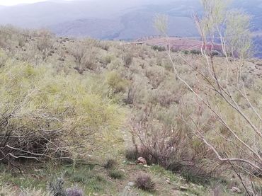 Terreno rustico in vendita a Acequia de la cara