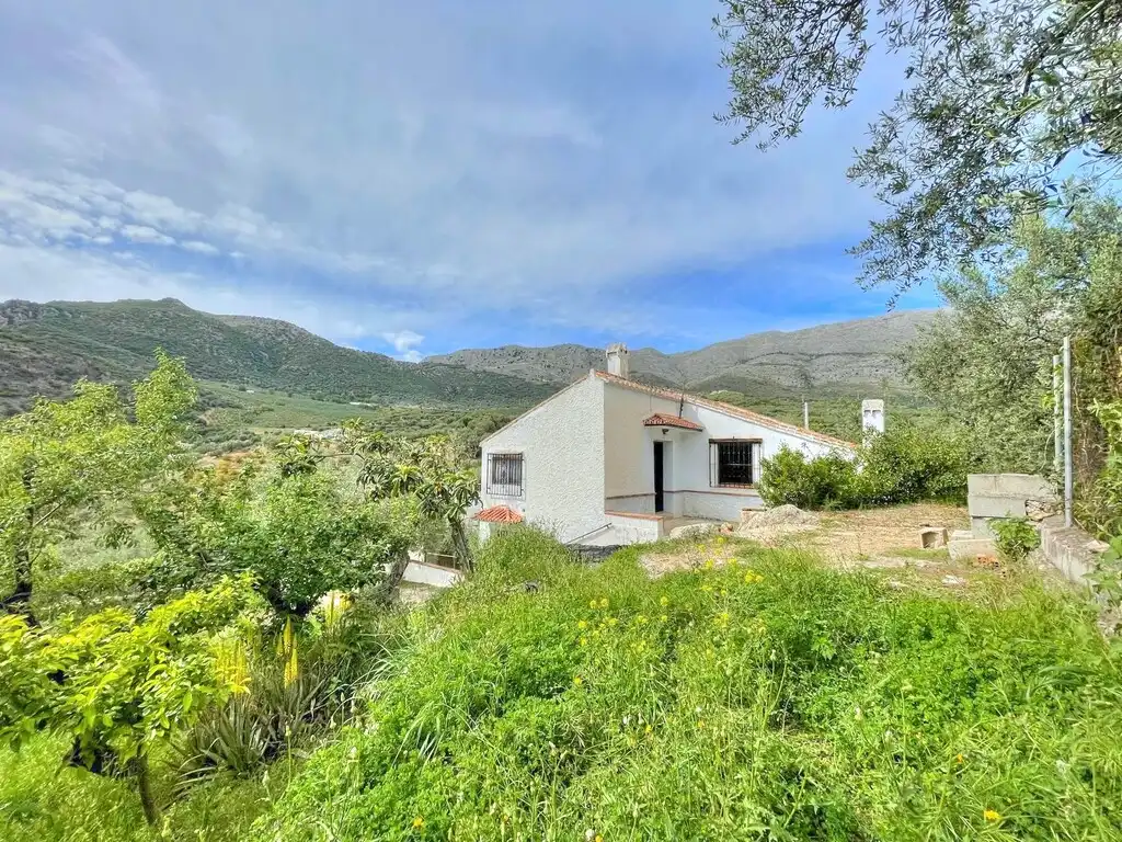 Vista exterior de Finca rústica en venta en Periana con Jardín privado, Trastero y Amueblado