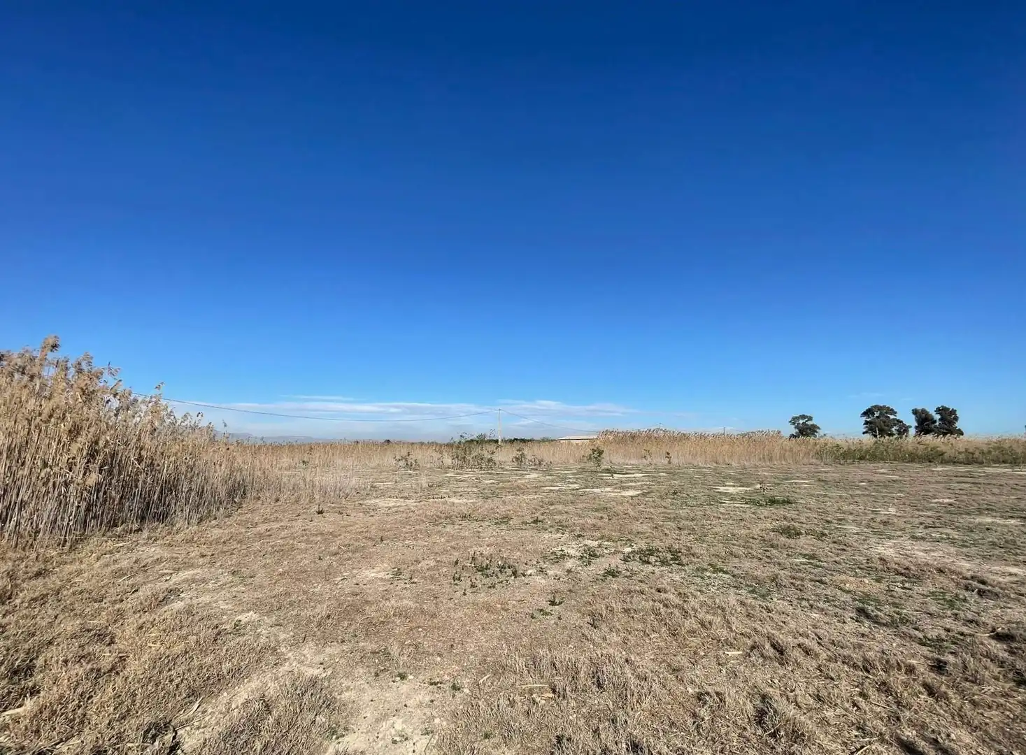 Terrain rustique à vendre à Algorós - El Derramador, imagen 3