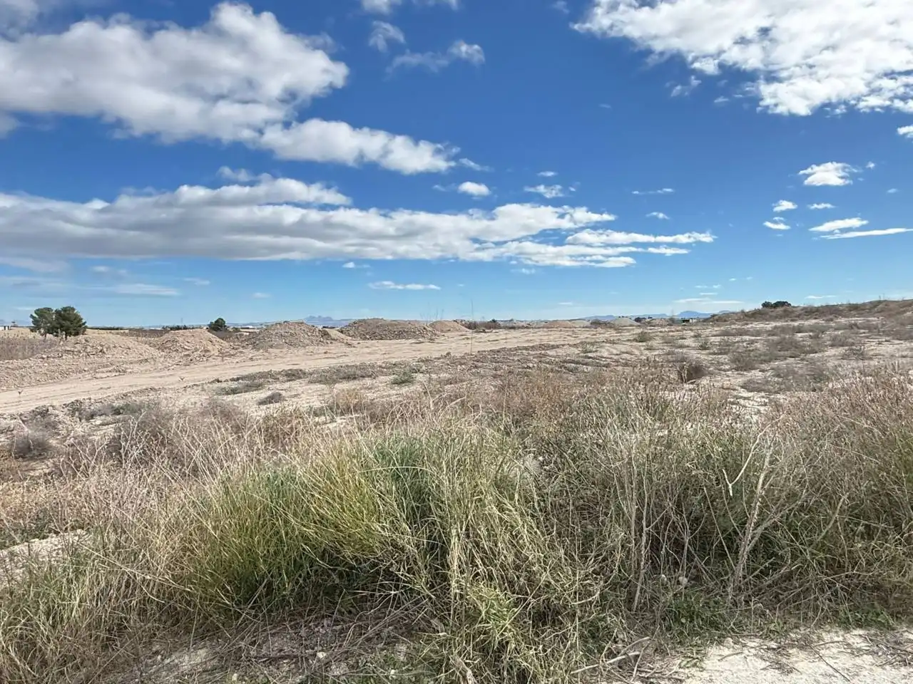 Terreny industrial en venda a Ceutí, imagen 6