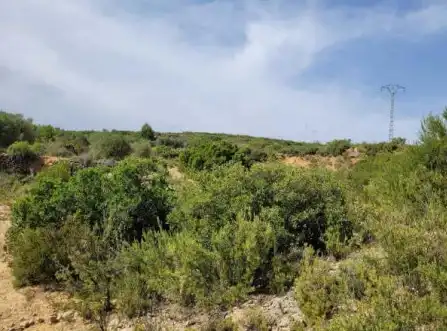 Terreno en venta en Siete Aguas