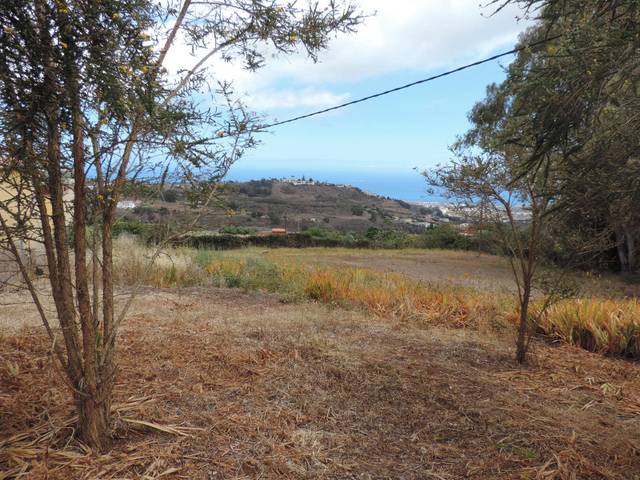 Terreno en Venta en Lugar los Altabacales, 50 en Los Castillos